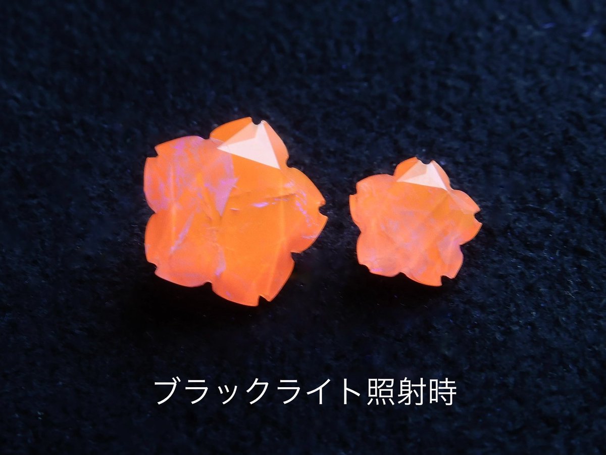 ハックマナイトのさくらシェイプ。

日常光では濃いパープルですが、ブラックライトを当てるとパッと鮮やかなオレンジ色に蛍光反応を示します。２つの表情が楽しめる、ちょっと不思議で面白い石です。