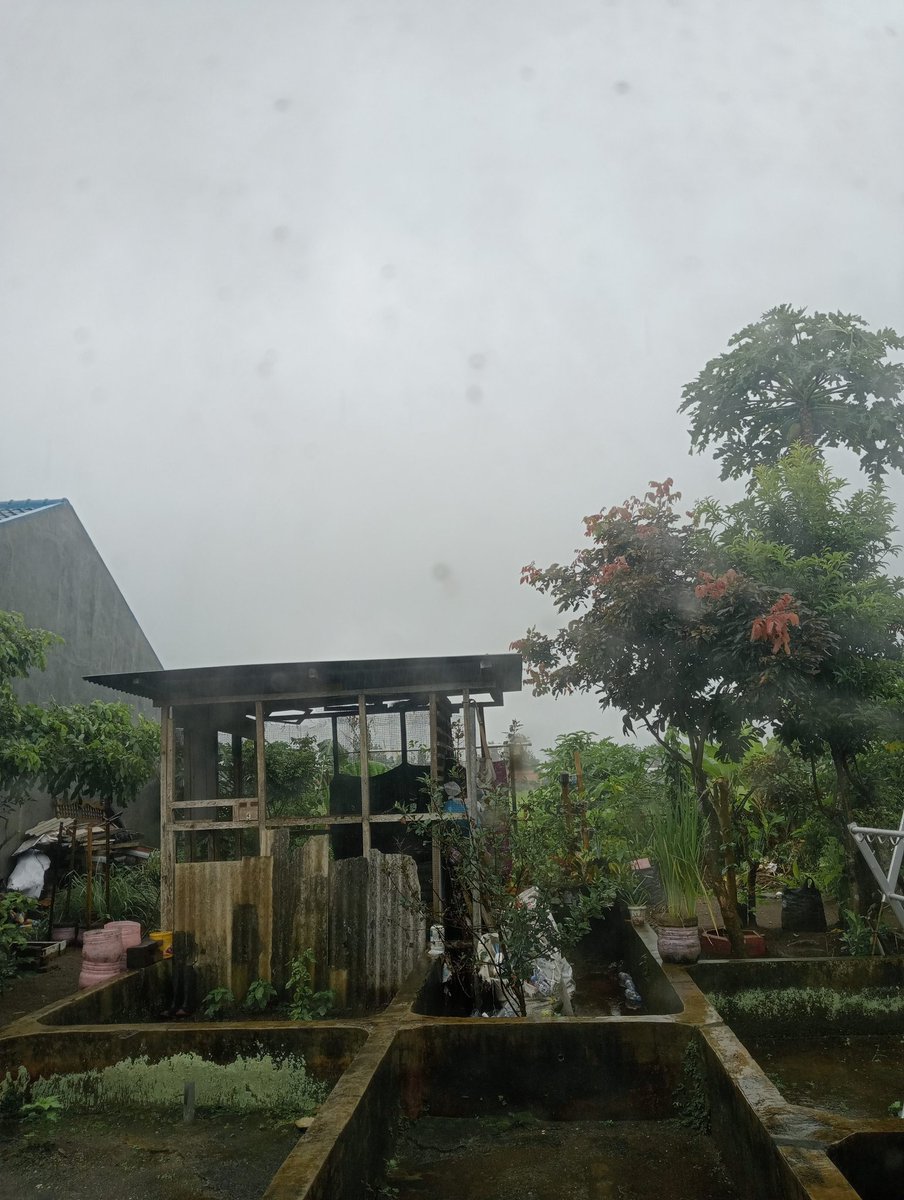 CacaCuci89's tweet photo. 🌧️ in the morning ❄️❄️ https://t.co/rZ4ODJjl9A