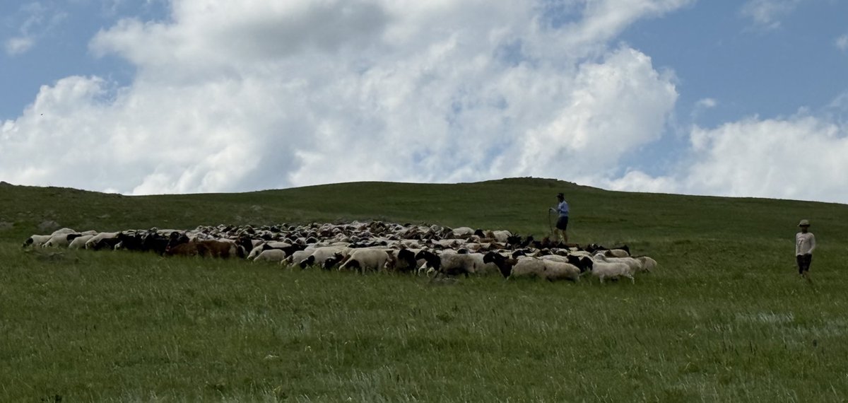 Хүүхдүүд тусад ороод дэмтэй байна👌
25км газар явган хонь туучихлаа шүү🤟