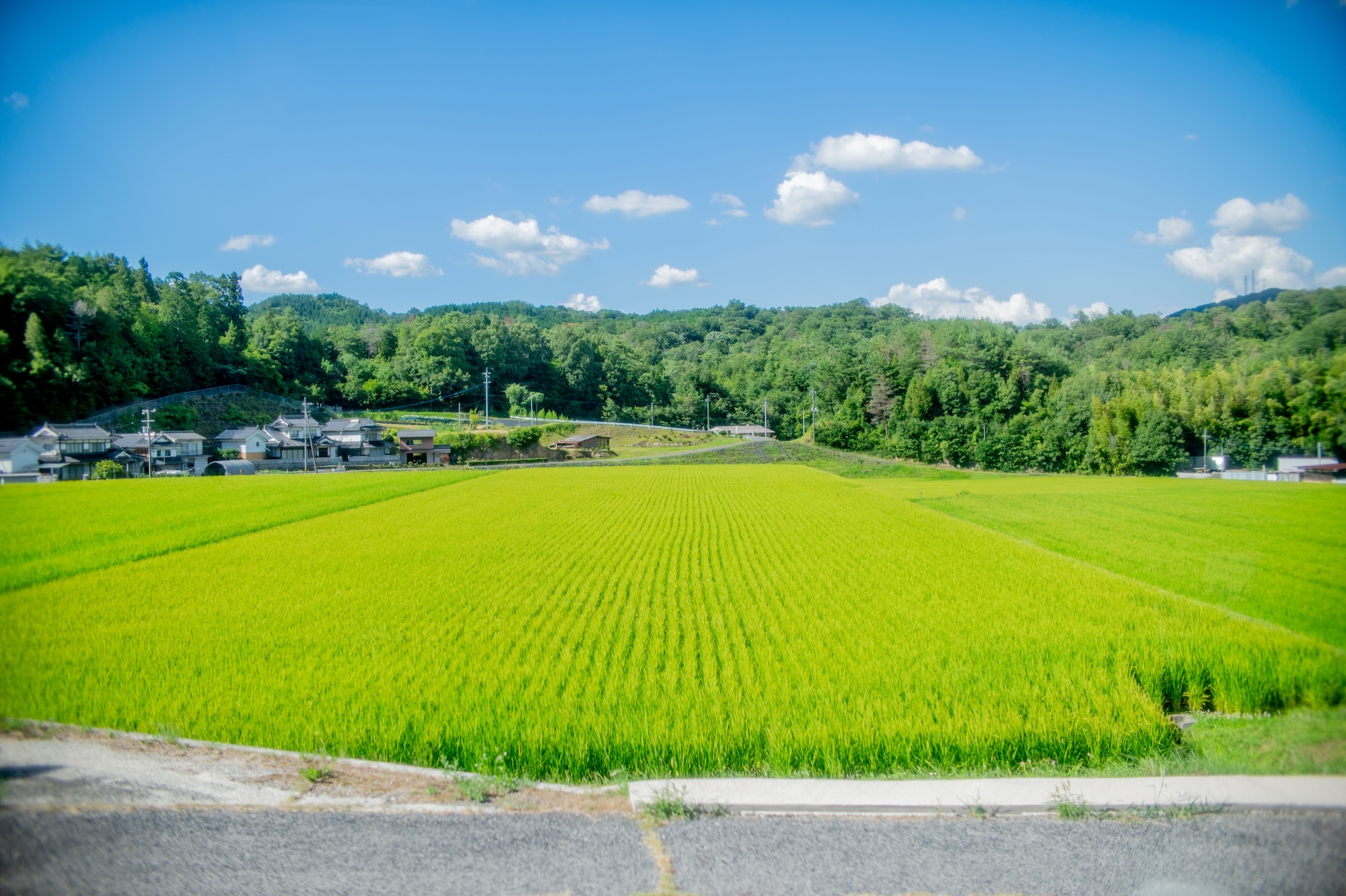 帰路 PHOTO写真集 三原由宇 出張撮影フォトグラファー on X: