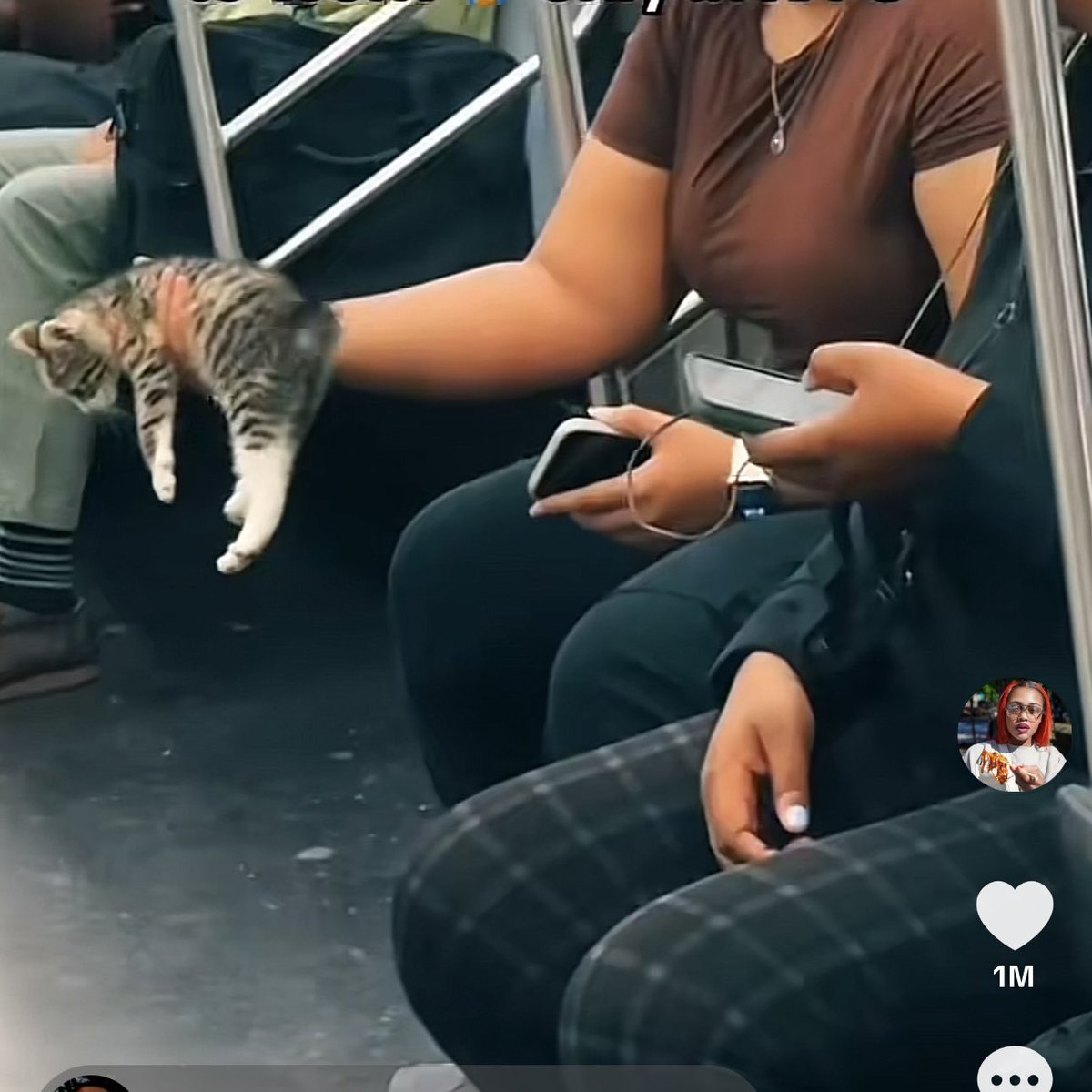 Pocahontaee's tweet photo. Emmie’s story can now live with us forever 🗽🐱✨🫶🏽 LINK IN BIO 📚 #emmie #nyc #cat #mta #viral #pocahontae #narrator #fyp #linkinbio #childrensbook #amazon #gumroad #trending #rescuecat https://t.co/yOKDH3VwBa