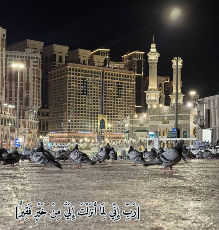 `دعاء موسى عليه السلام`

*[رَبِّ إِنِّي لِمَا أَنزَلْتَ إِلَيَّ مِنْ خَيْرٍ فَقِيرٌ]*

*فأوجَد الله له العمل.ثم يسّر له الزواج.ثم أكرمه بالنبوة.*

*`الإفتقار لله، غِنى`🫧🌸!*