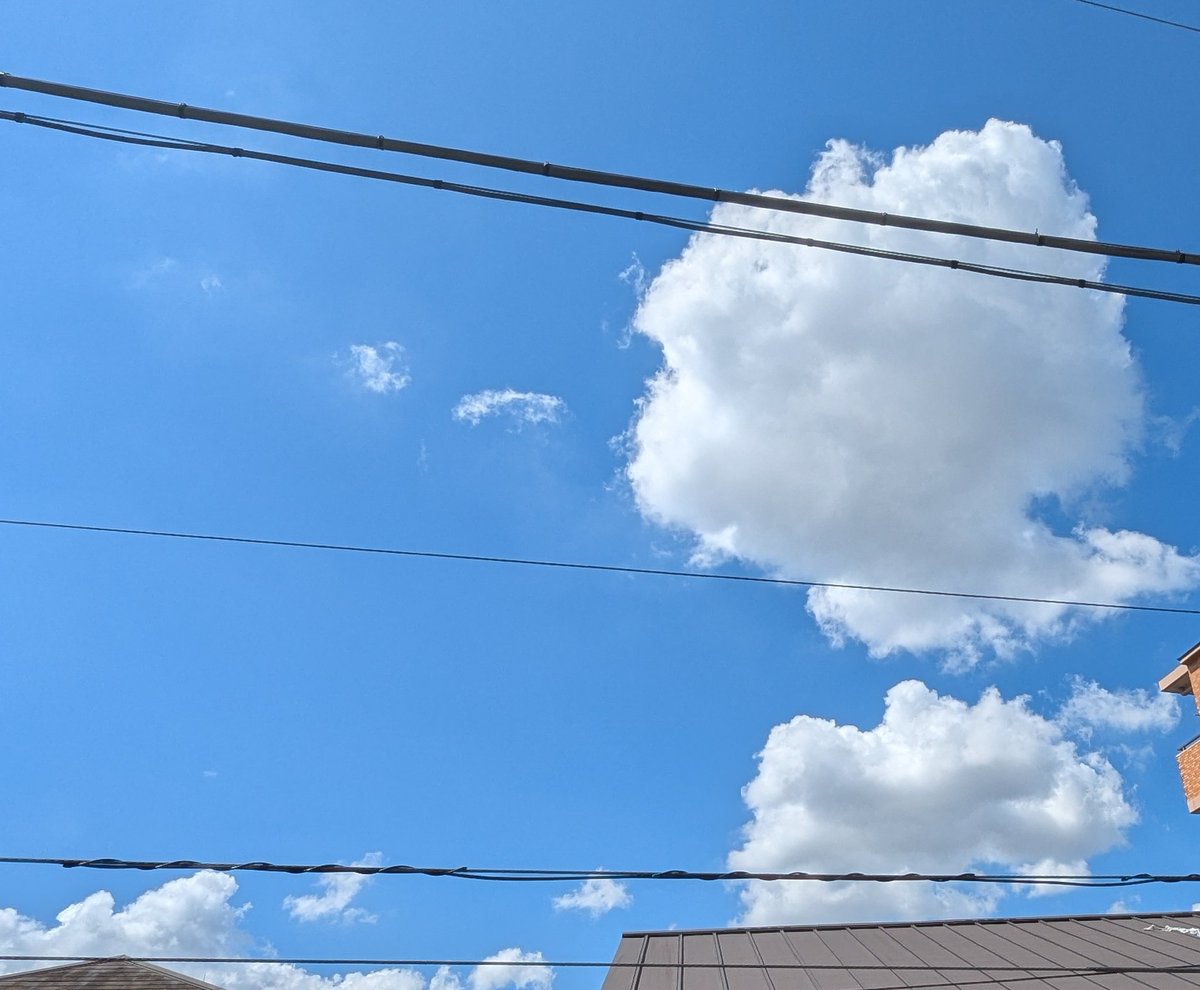 ☆青空☆ページ 青空 - Search / X