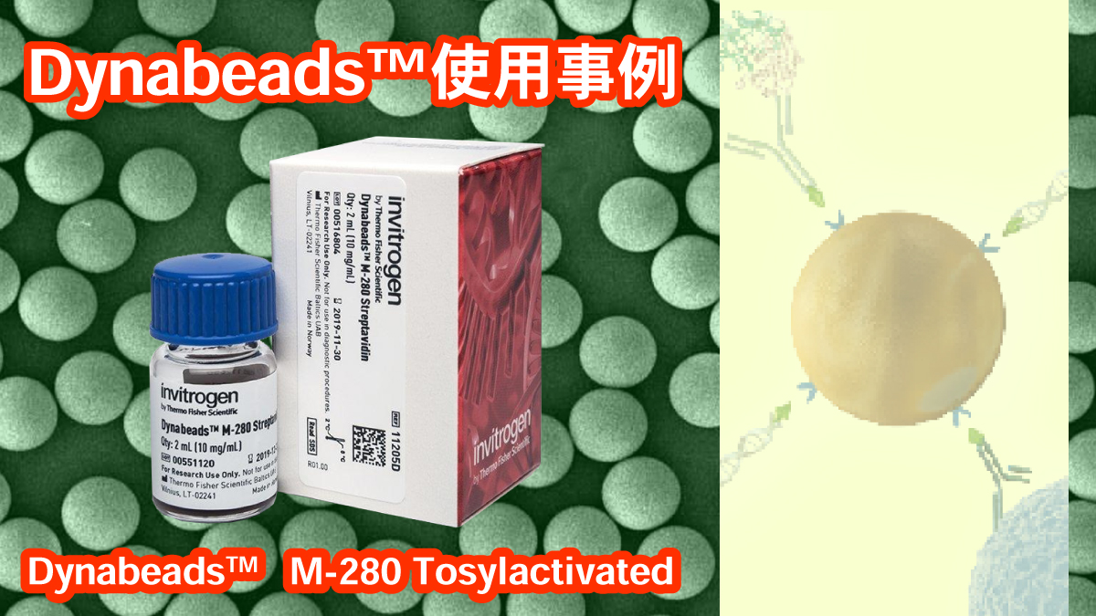 veritastk's tweet photo. A rapid and facile immunoassay for C-reactive protein using PDMS-based... https://t.co/PCgdxURs9e #PDMS ベースのデジタル #磁性流体 を用いたC反応性 #タンパク質 の迅速かつ簡便な #免疫測定法 の #開発 で #Dynabeads が利用されています https://t.co/I7cMp65Nkx
