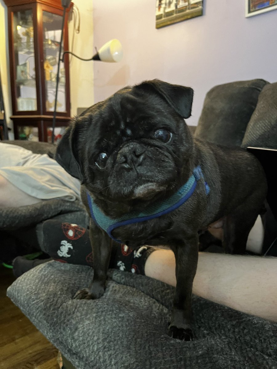 Sarah Drees tweet media