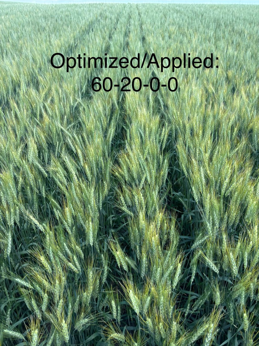 Guy Keeler PAg tweet media