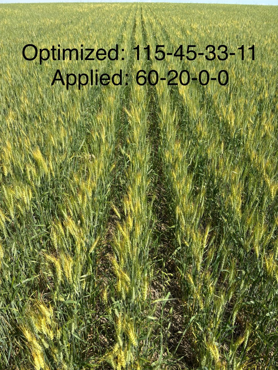 Guy Keeler PAg tweet media