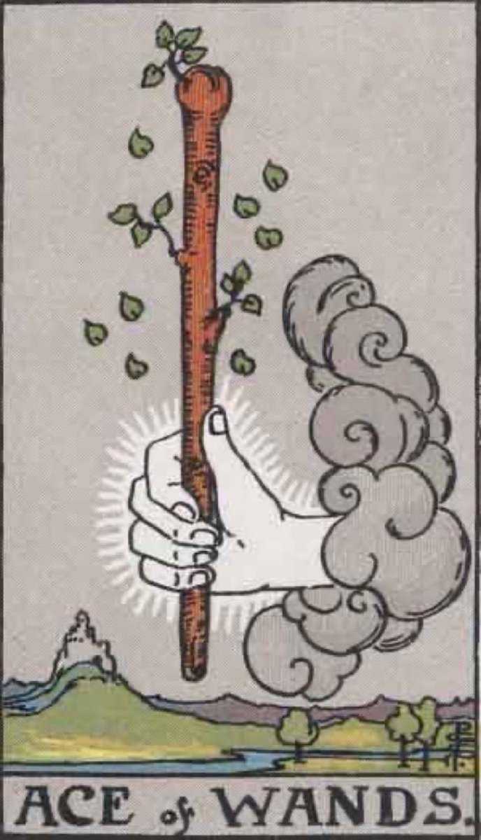 sen_shahana's tweet photo. Daily Guidance
The Ace of Wands signifies new beginnings, inspiration and creativity. It encourages you to take action and pursue your passions with full force.
DM to schedule a personalised session with me.
#tarot #guidance #shahanasen #intuitivetarotreader https://t.co/5o1YB4hGcU