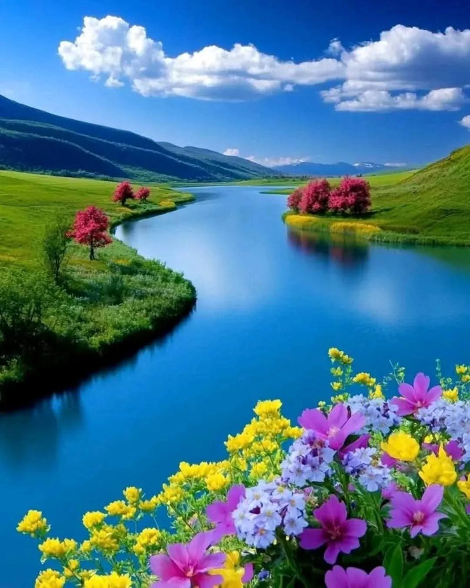 Good morning
