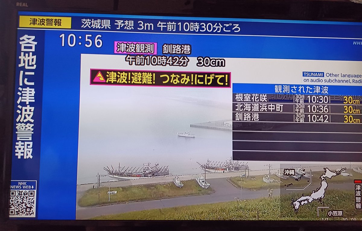ブルーボタンインコ@旅立ちました tweet media