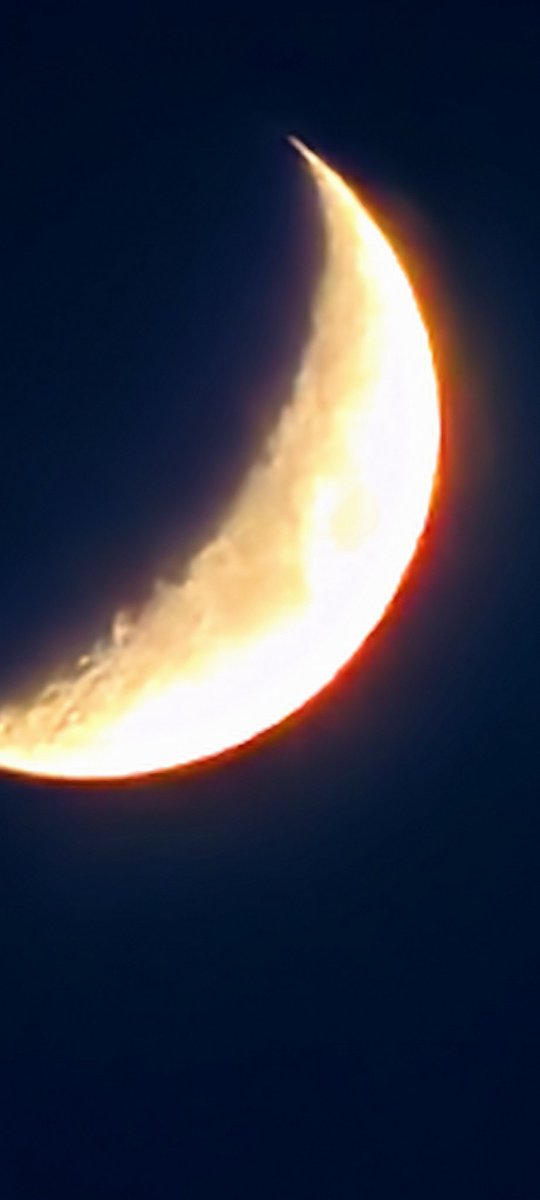 Moon night