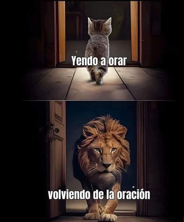 el Siervo (@elsiervo__) on Twitter photo 