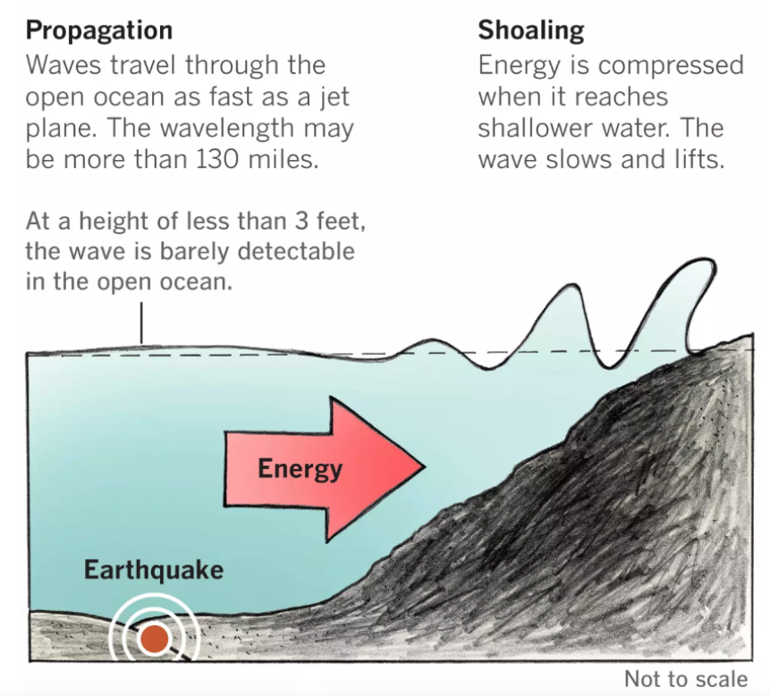I did tsunami graphics a few years ago at the <a href="/latimes/">Los Angeles Times</a> . A tsunami advisory was issued for the entire California coast after an 8.7-magnitude earthquake struck in the Pacific Ocean about 78 miles east-southeast of Petropavlovsk-Kamchatsky, Russia. latimes.com/california/sto…