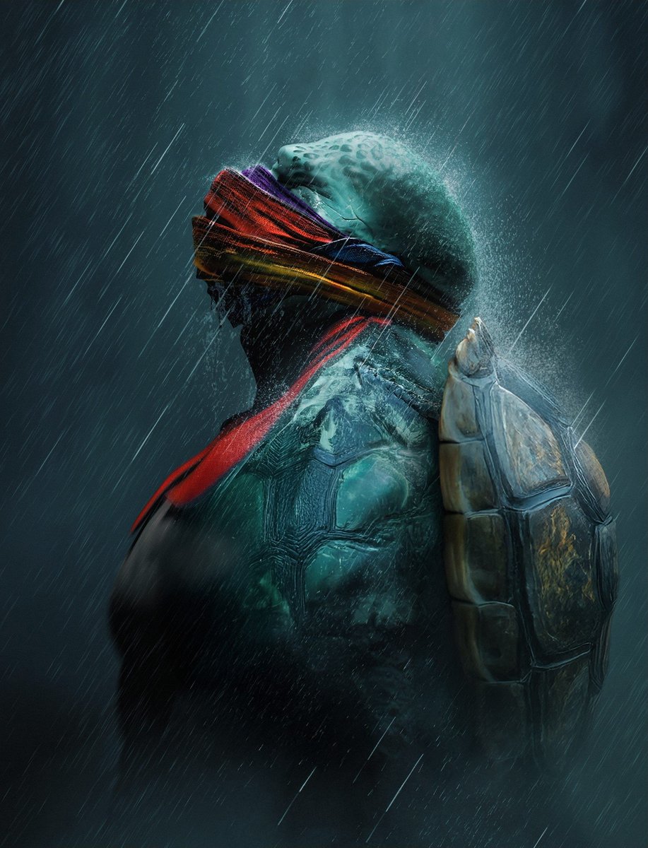 My brothers - The Last Ronin