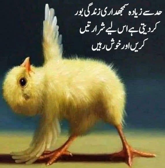 اک درویش (@r_m_malik) on Twitter photo کھوتے کا گوشت انسان میں
ذمہ داریوں کا بوجھ اُٹھانے کی طاقت پیدا کرتا ہے
😁😂
منجانب: ایک دلبرداشتہ اسلام آبادی
<a href="/Gms_k1/">ڈنگر ڈاکٹر</a>
<a href="/ZafarIqbal58/">ZafarIqbal58</a>
<a href="/Butt0913/">Khalid Butt</a>
<a href="/Wasi_600/">چودھری وسیم باری</a>
<a href="/Naaz_313/">Sajjad Naaz 🕊️🇵🇸</a>
<a href="/AyaanBabo11/">Maj.Gen.Ayaan Alvi(R)</a>
<a href="/_sco41/">𝑻𝙰𝙷i᩶Ɽ.𝐁𝒖𝒕𝒕🐰</a>
<a href="/A_tta4/">Atta Ayub</a> کھوتے کا گوشت انسان میں
ذمہ داریوں کا بوجھ اُٹھانے کی طاقت پیدا کرتا ہے
😁😂
منجانب: ایک دلبرداشتہ اسلام آبادی
<a href="/Gms_k1/">ڈنگر ڈاکٹر</a>
<a href="/ZafarIqbal58/">ZafarIqbal58</a>
<a href="/Butt0913/">Khalid Butt</a>
<a href="/Wasi_600/">چودھری وسیم باری</a>
<a href="/Naaz_313/">Sajjad Naaz 🕊️🇵🇸</a>
<a href="/AyaanBabo11/">Maj.Gen.Ayaan Alvi(R)</a>
<a href="/_sco41/">𝑻𝙰𝙷i᩶Ɽ.𝐁𝒖𝒕𝒕🐰</a>
<a href="/A_tta4/">Atta Ayub</a>