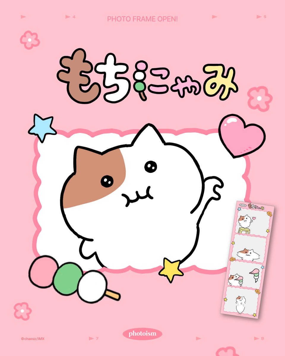 PHOTOISM X mochinyami FRAME OPEN ! ついにphotoismに「もちにゃみ