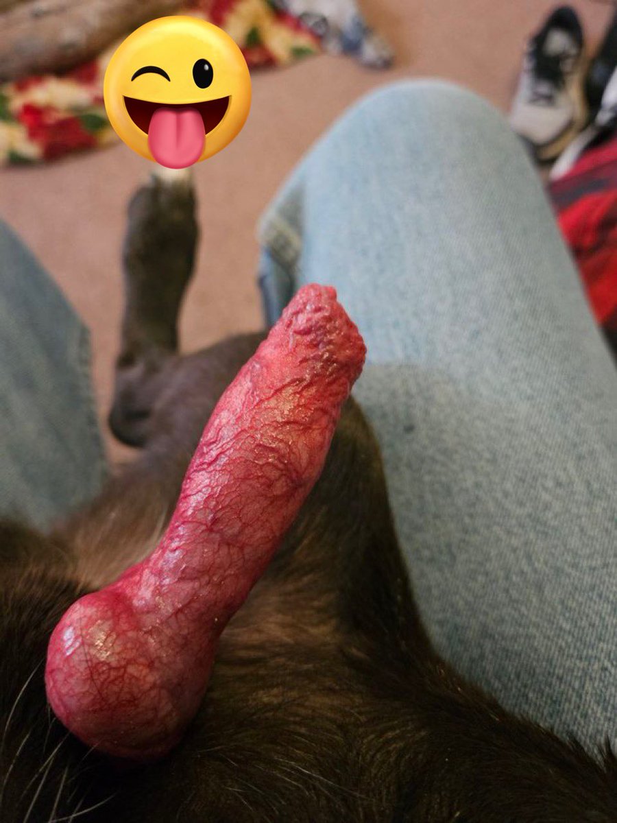 #knots🌈 My K9 likes it wets
huge cock "💦on my bio is
the link to subscribe to my channel to get full Dropbox of my k9 likes it wets 🐕t.me/sexxy232

🌈#doglover #dogslut #knotty #k9girls #dogbitch #aoz #artofzoo #k9slut #zoolove #knottygirl
#FinDom #dogknot #zoophilia