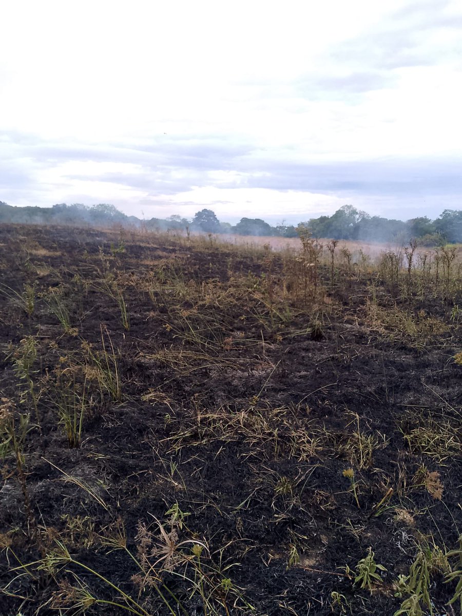 🚒 Emergencia en Protecho Salado
Móvil 04 atendió incendio forestal reportado por COE 16.
🔥 Control manual con herramientas forestales.
💪 Unidades CB González, BR Liliana V. y BR Leonardo Manius lograron contener la situación. Que tal quedó para subir está emergencia a x