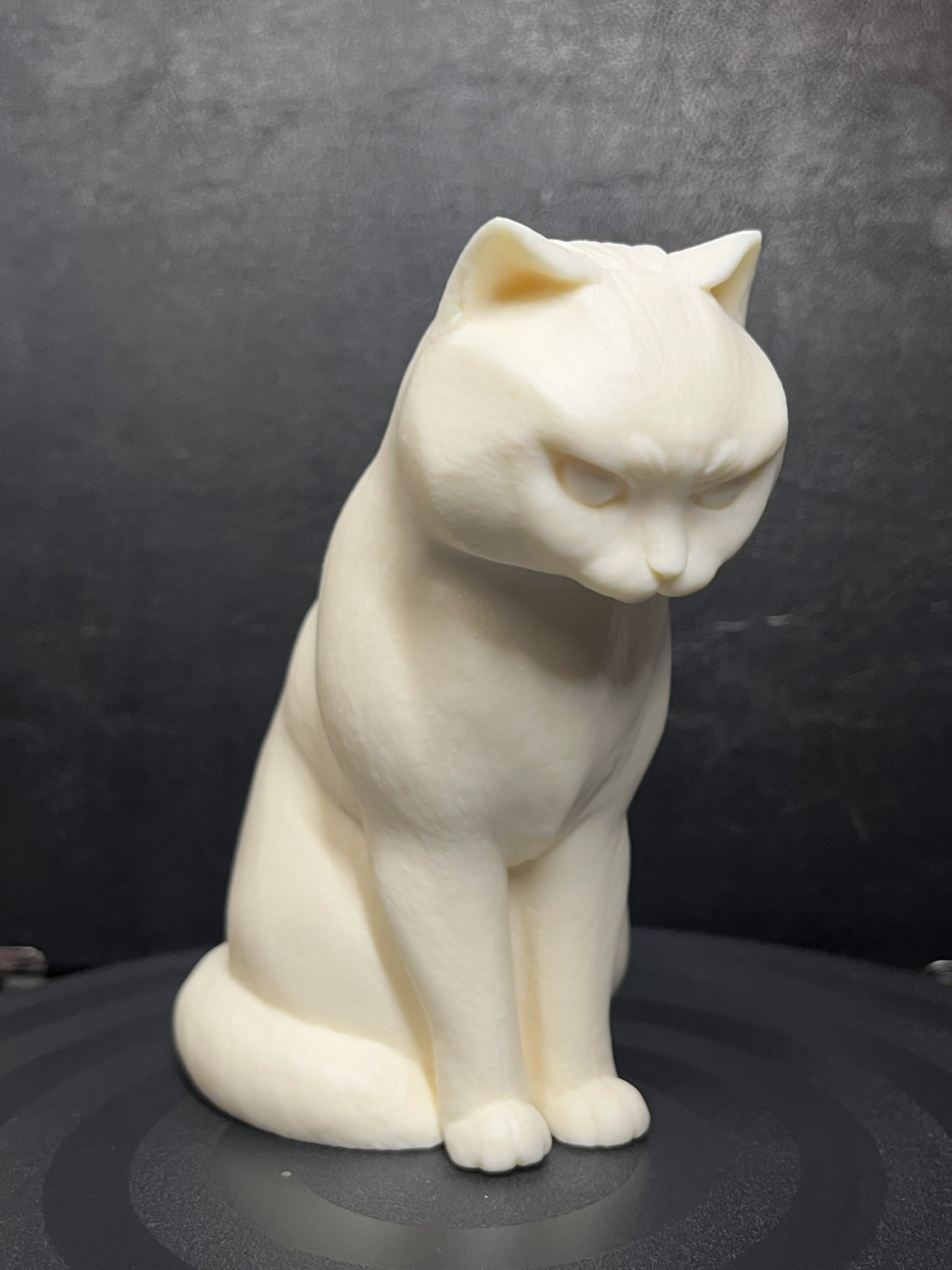 めぐめぐ•*¨*•.¸♬︎★のびねこ★こーば(*ΦωΦ) 11ぴきのねこ 】 トラネコ ブルー フェイス ポーチ SKG（ポーチ