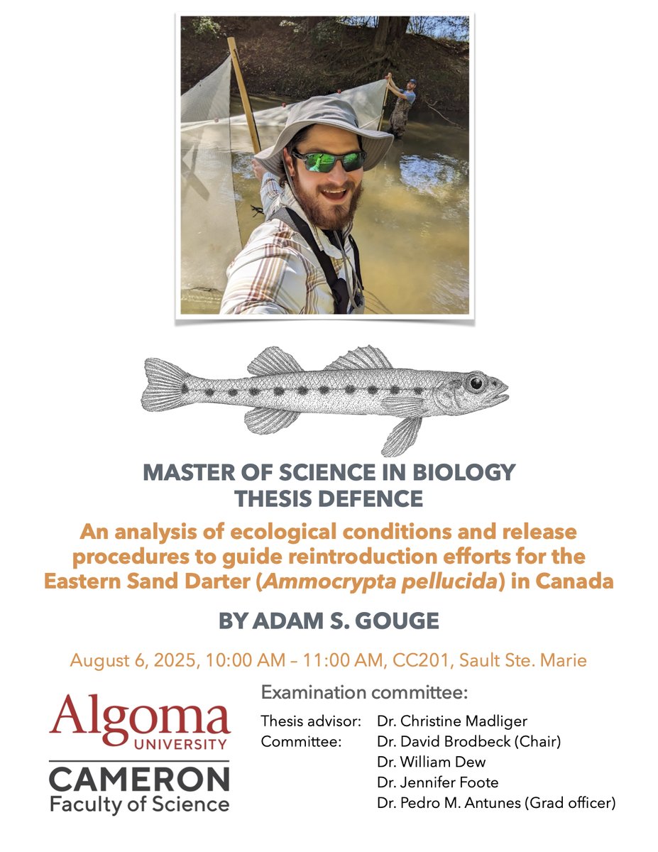 Pedro M. Antunes tweet media