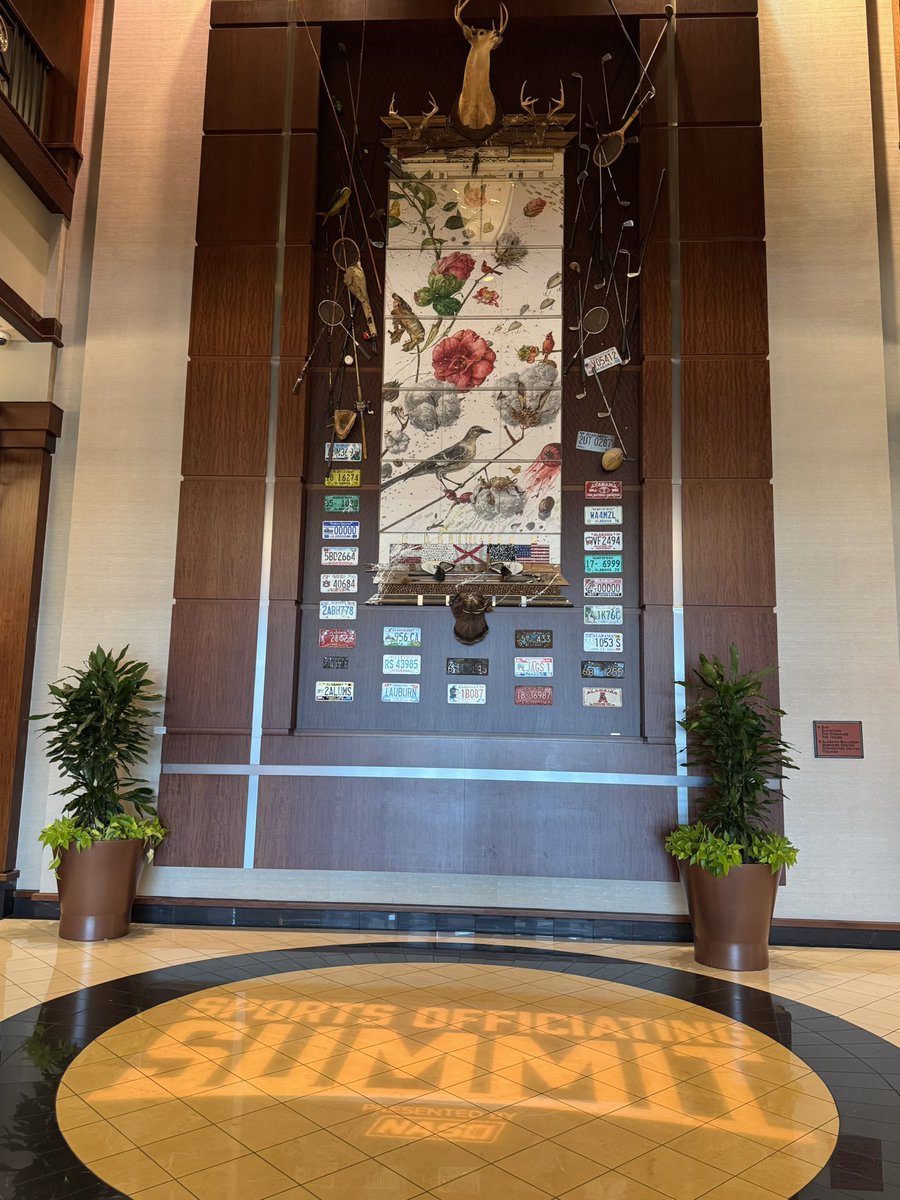 ZebraWeb tweet media