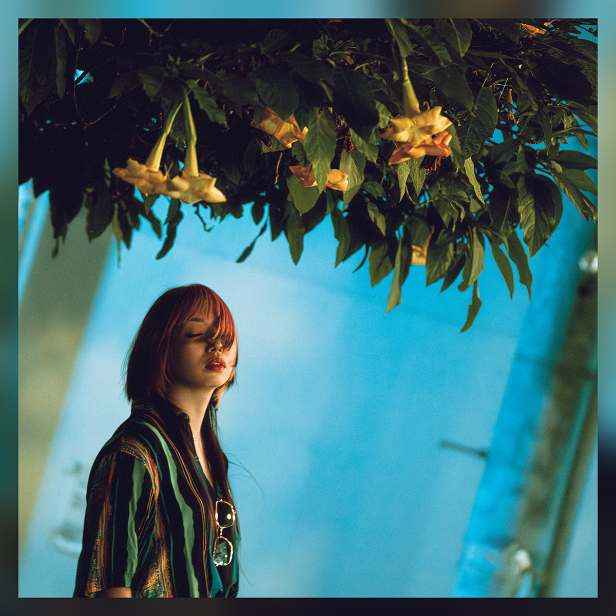 ADA Japan tweet media