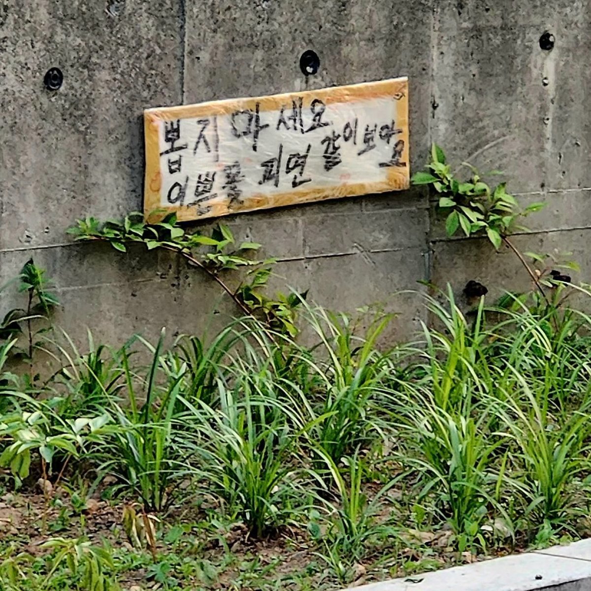 내 취향 사진들 (@myfavzzal) on Twitter photo 