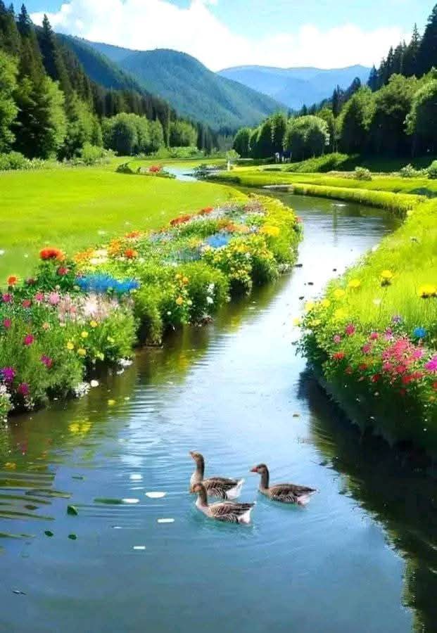Have a nice day dear friend