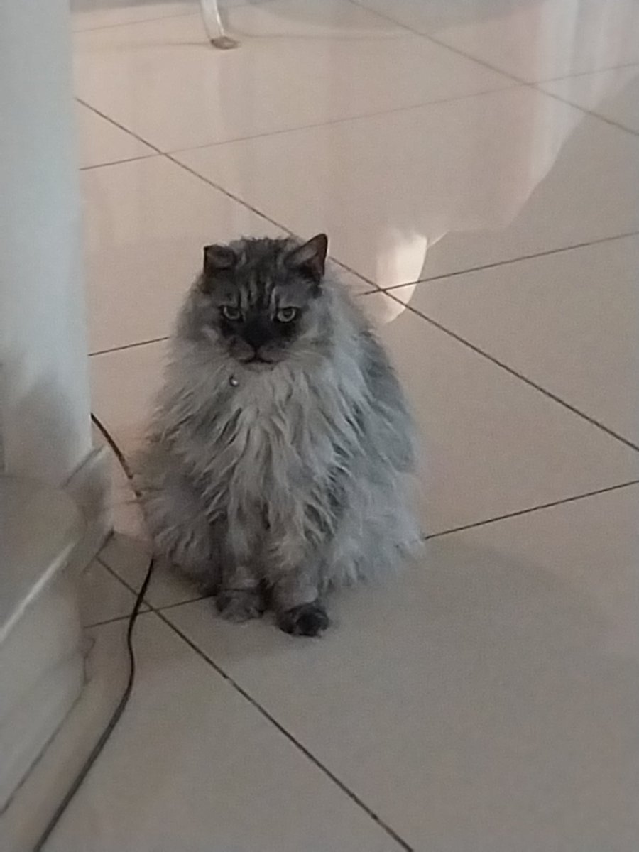 FanaticFallacy's tweet photo. Everytime I go to the bathroom to pee, this guy is just waiting. Staring. Judging. Like fuck you man https://t.co/F9OA1GW73f