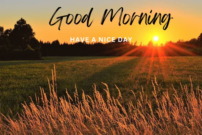 उठो, मुस्कराओ और कहो—आज मेरा दिन है। शुभ प्रभात!
Good Morning 🌄❤️