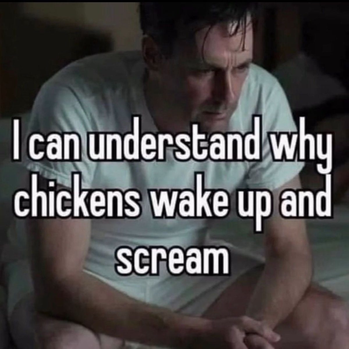 wildtiktokss's tweet image. 