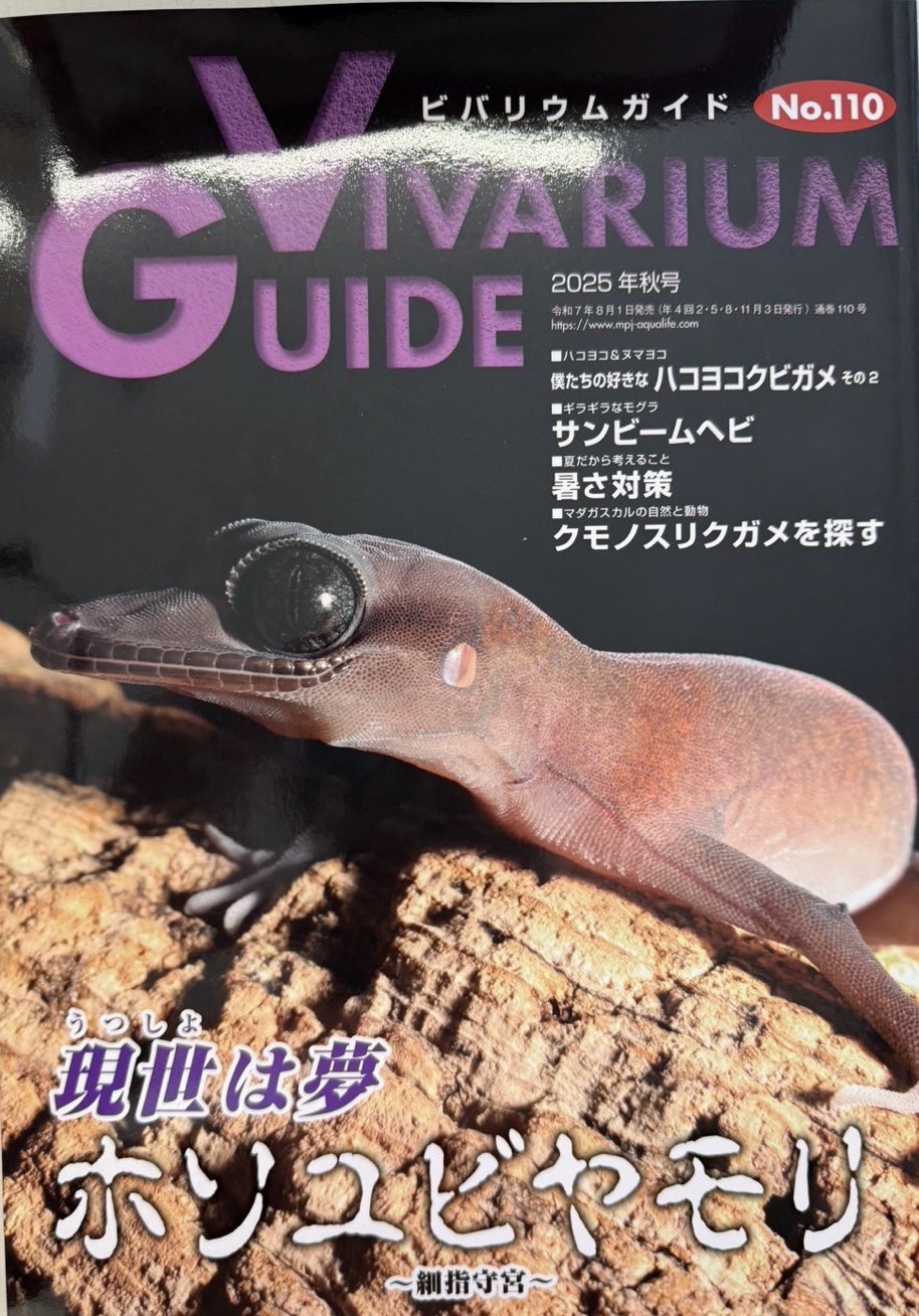 ビバリウムガイド　バラ売り要相談‼︎ ビバリウムガイドNo.100 2023年春号 ビバガの過剰な愛情～BIG LOVE～