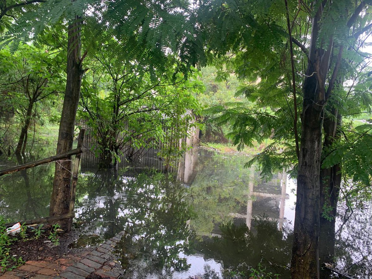 anirbanb04's tweet photo. @nkda_mar the condition of the service road in front of Organic Hub right upto Ramkrishna mission is alarming, drains choked, rain water accumulated @MamataOfficial @wbhidco_ltd https://t.co/ZZZz4qezNE