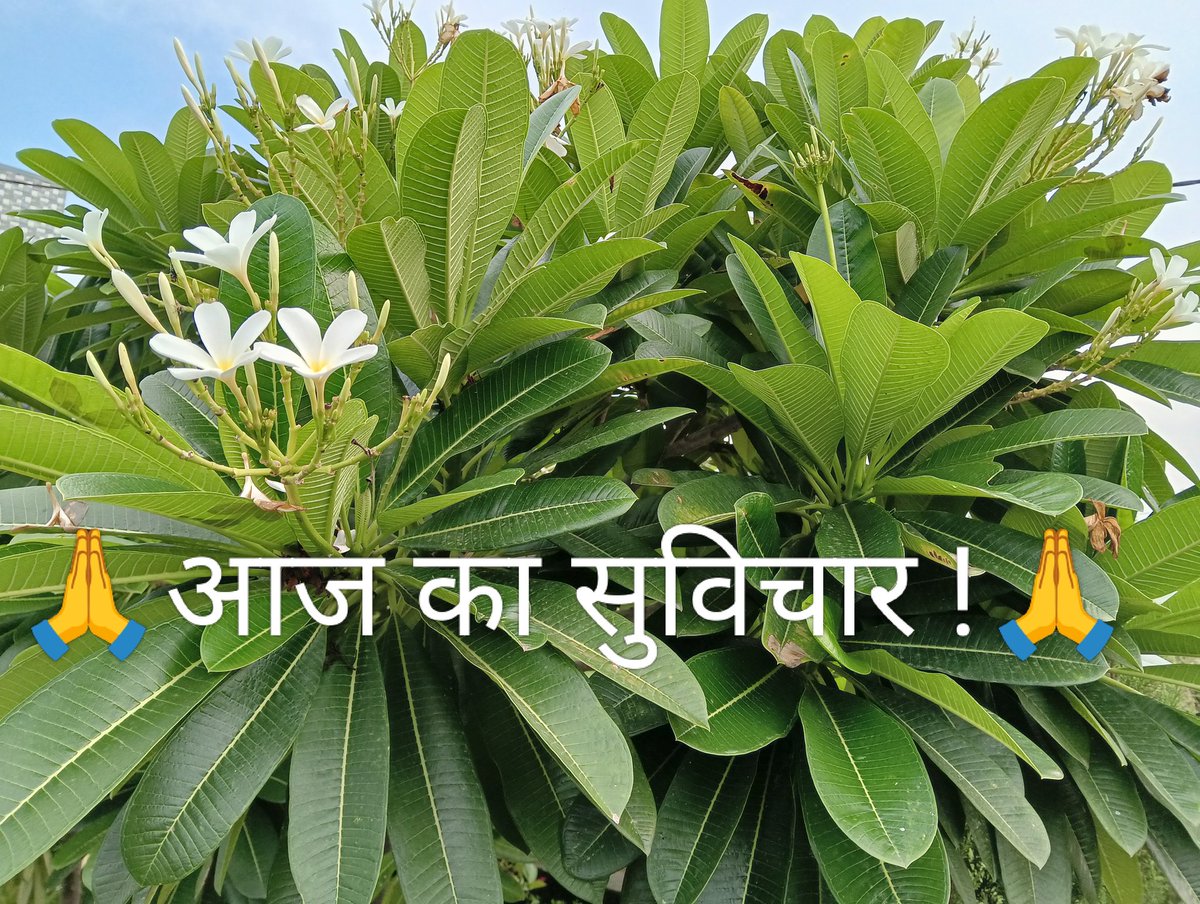 🙏🌲🌹 आज का सुविचार....!🌹🌲🙏

हम जो कुछ भी है, वो आज तक हमने क्या सोचा इस बात का परिणाम है। 

यदि कोई व्यक्ति बुरी सोच के साथ बोलना या काम करता है, तो उसे कष्ट ही मिलता है।

यदि कोई व्यक्ति शुद्ध विचारों के साथ बोलता या काम करता है, तो उसकी परछाई की तरह खुशी उसका साथ कभी नहीं