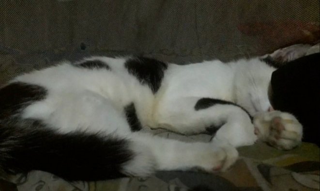 Kullu nafsin dzaiqotul maut, summa ilainaa turja'un. 
Al-Qur'an Surat Al-'Ankabut ayat 57: (Setiap yang bernyawa pasti akan merasakan kematian. Kemudian, hanya kepada Kami kamu dikembalikan).

Istirahat yg tenang ya lek. InsyaAllah nnt kita jumpa lg di syurgaa😭