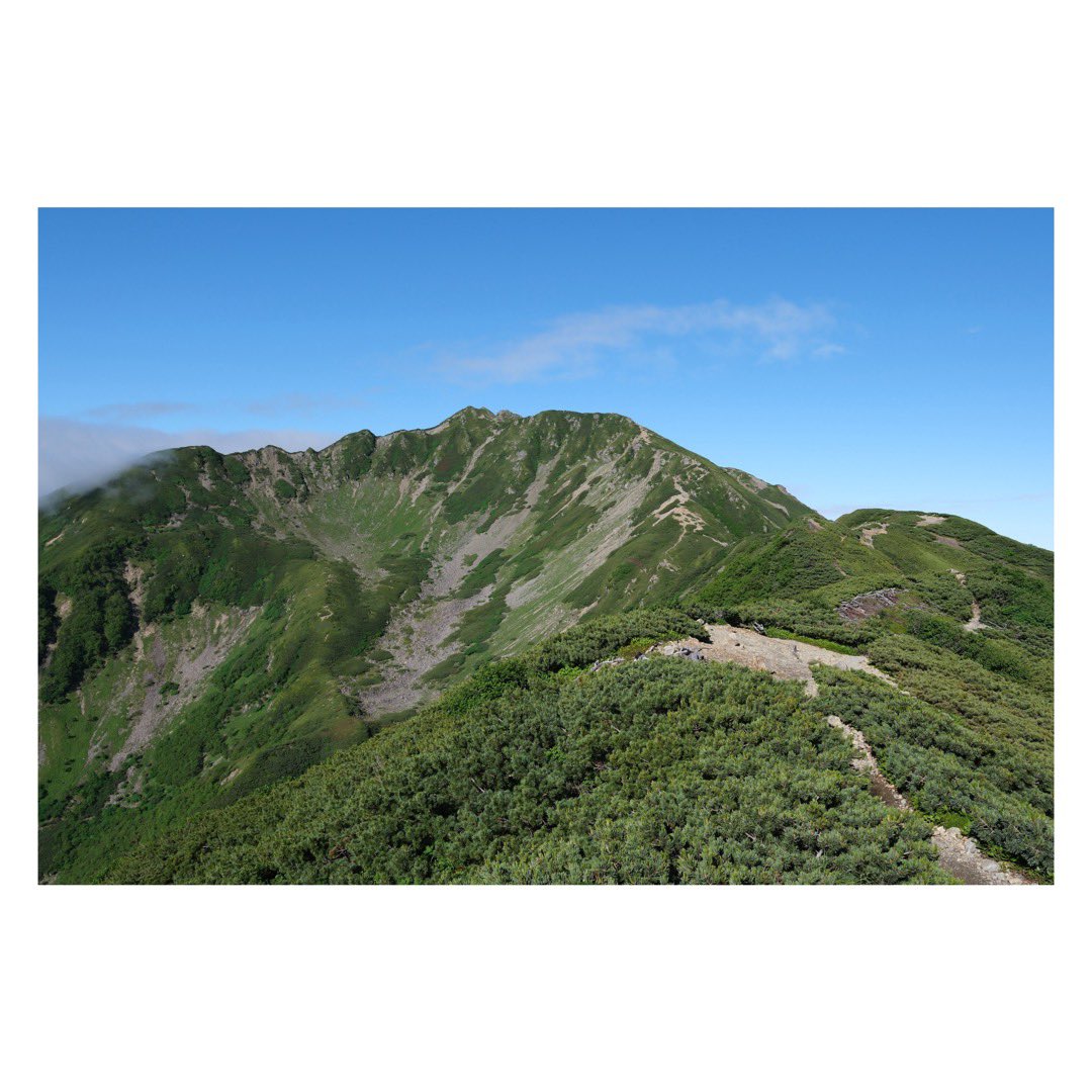 Yamasanka(小屋締め中) (@yamasanka_twts) on Twitter photo 夏の仙丈ヶ岳1泊登山です。初日は雲の中でしたが、二日目は雲海の絶景を堪能できました。
今回も雷鳥に会えました。増えているのかもしれないですね!
#仙丈ヶ岳
#夏の山讃歌
#Yamasanka 夏の仙丈ヶ岳1泊登山です。初日は雲の中でしたが、二日目は雲海の絶景を堪能できました。
今回も雷鳥に会えました。増えているのかもしれないですね!
#仙丈ヶ岳
#夏の山讃歌
#Yamasanka