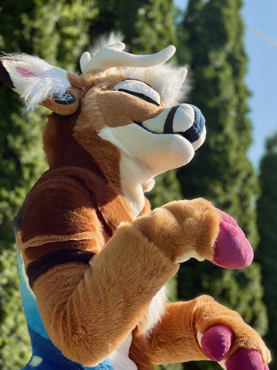 Brb frolicking rn… 🦌