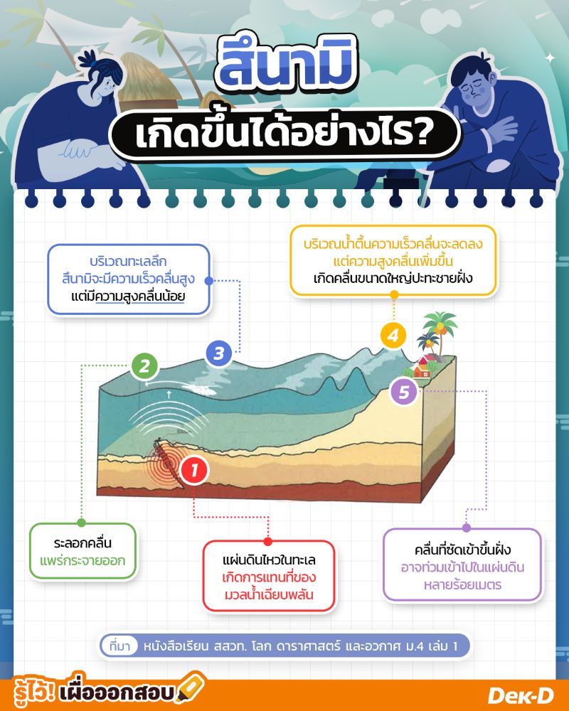#สึนามิ เป็นคลื่นที่มีลักษณะเฉพาะตัว ในบริเวณที่เป็นทะเลลึก สึนามิจะมีความสูงคลื่นน้อยสังเกตเห็นยาก มีความเร็วคลื่นสูง อาจเคลื่อนที่ได้เร็วถึง 900 กม./ชม. อีกทั้งยังสามารถเคลื่อนที่ออกจากจุดกำเนิดได้ไกลหลายพันกิโลเมตร 

เมื่อเคลื่อนเข้าใกล้บริเวณที่มีน้ำตื้น ความเร็วคลื่นจะลดลง