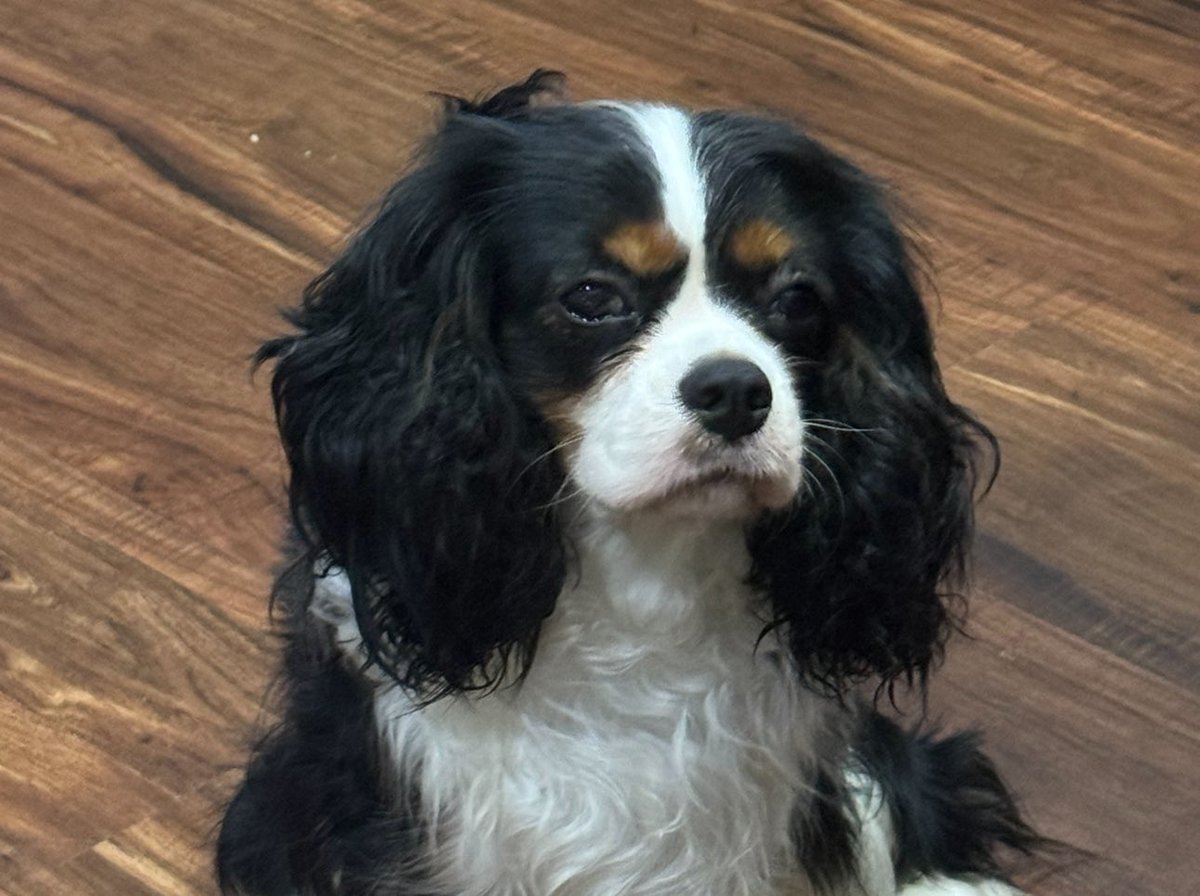 Quick! Reply with the most recent photo in your gallery to see why Meli is judging you.