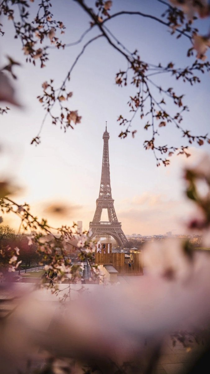 helena_mar19's tweet image. Good Morning 
Have a Beautiful Day 

(France,📷 Pinterest)