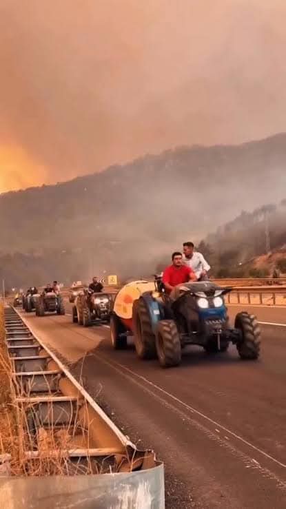 Ülke yanıyor, seferberlik ilan edilmesi gerekirken Meclis tatilde,
Hükümet boş laflarla milleti oyalamakta, zenginler keyfi sefada tatilde.
Memleketi kurtarmak yine köylüye, çiftçiye, fakire düştü.
Traktörünü alan ateşe koşuyor.
Tıpkı Çanakkale Savaşına gider gibi koşturuyorlar.