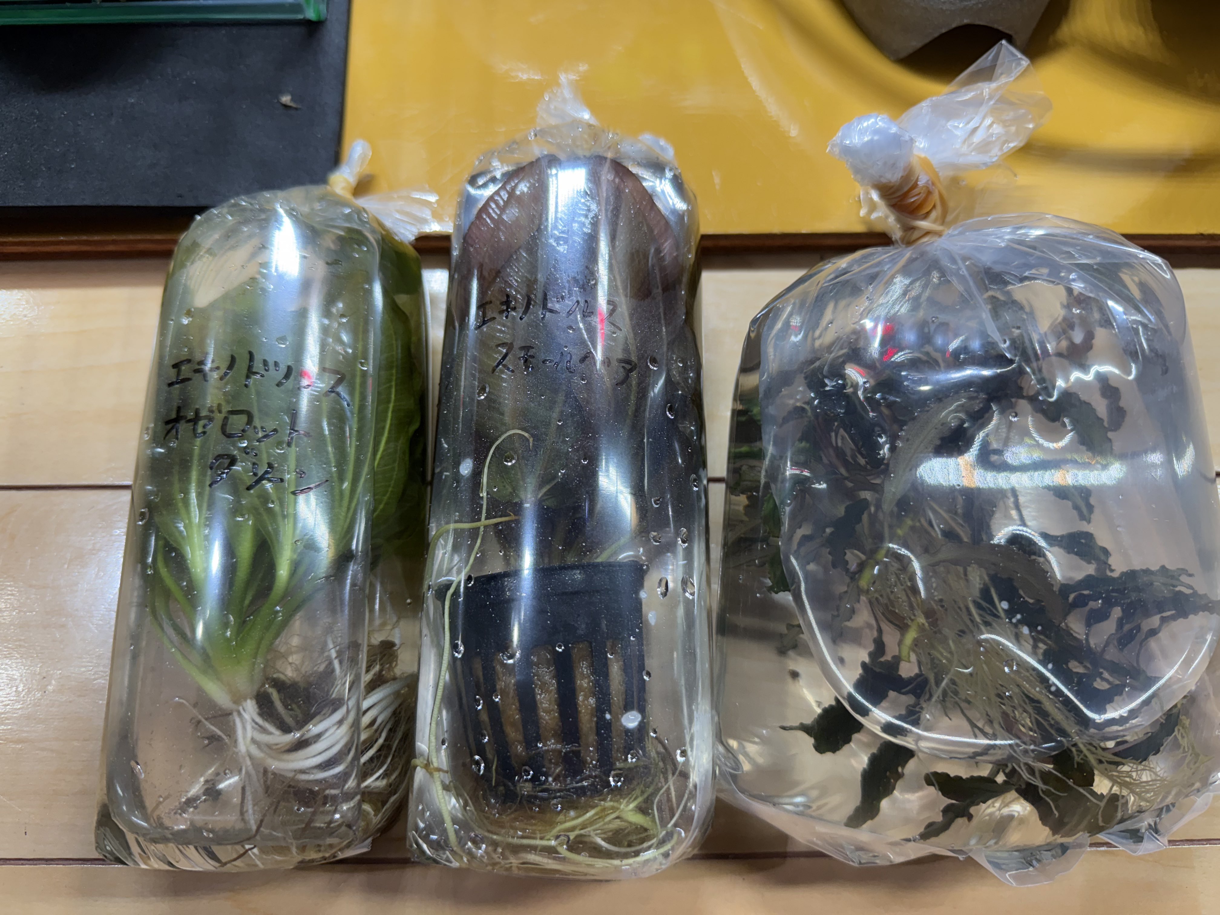 もなか⭐️断捨離中オーダー水槽台でございます。 ナカちゃん☆アクア