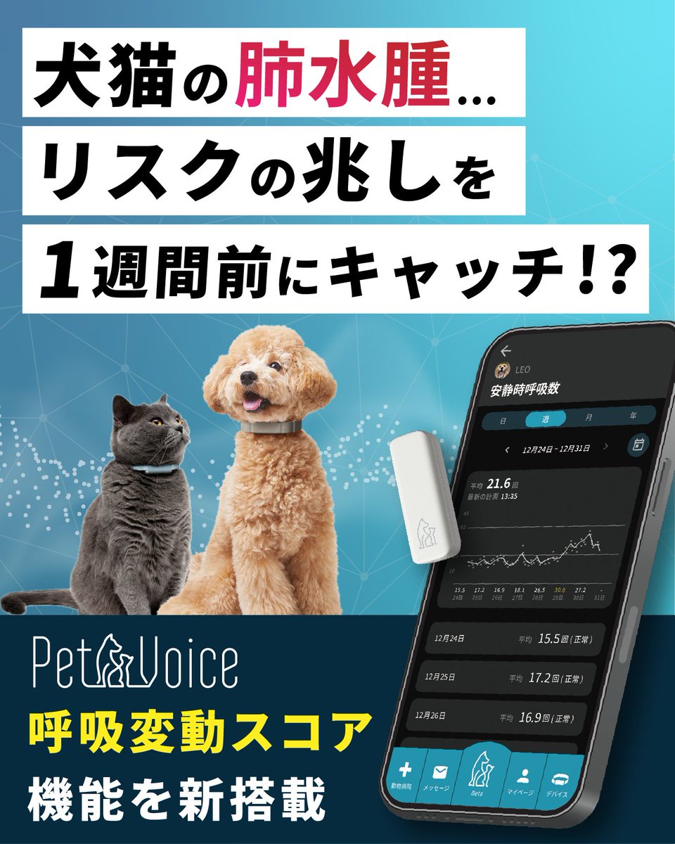 petvoice_jp's tweet photo. 犬猫の肺水腫リスクの“兆し”を1週間前からキャッチできる可能性がある「呼吸変動スコア」が確認できるようになりました！

PetVoiceご利用者で肺水腫と診断された方の安静時呼吸数を精緻に分析をしたところ、安静時呼吸数そのものは肺水腫診断の1日前に大幅に増加するのに対し、呼吸変動スコアは5~6日前から断続的に上昇していることが確認されました。

詳細は以下の記事をご確認ください。
https://t.co/Y0raFKvjgB

#犬心臓病 #僧帽弁閉鎖不全症
