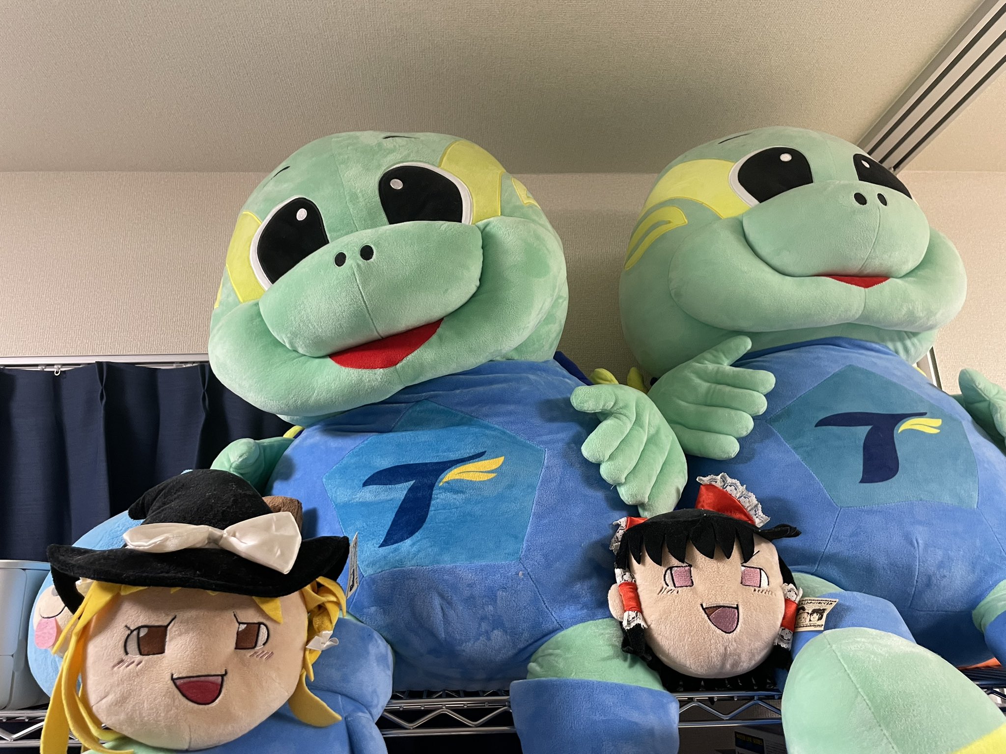 トリプトファン🏖️🐢≡彡 on X: 