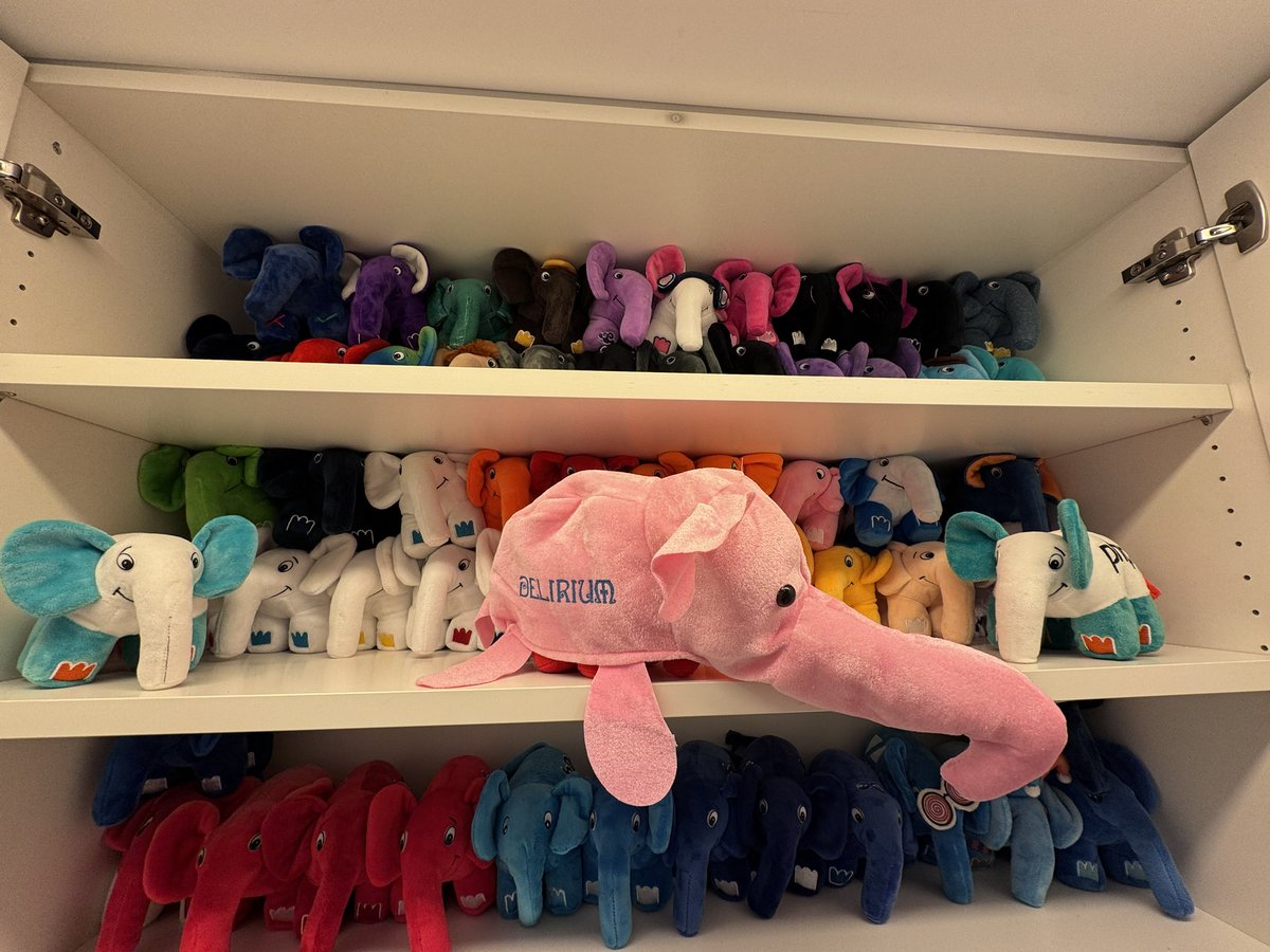 ElePHPant_frl's tweet image. Today a visitor from abroad 😜#elephpant