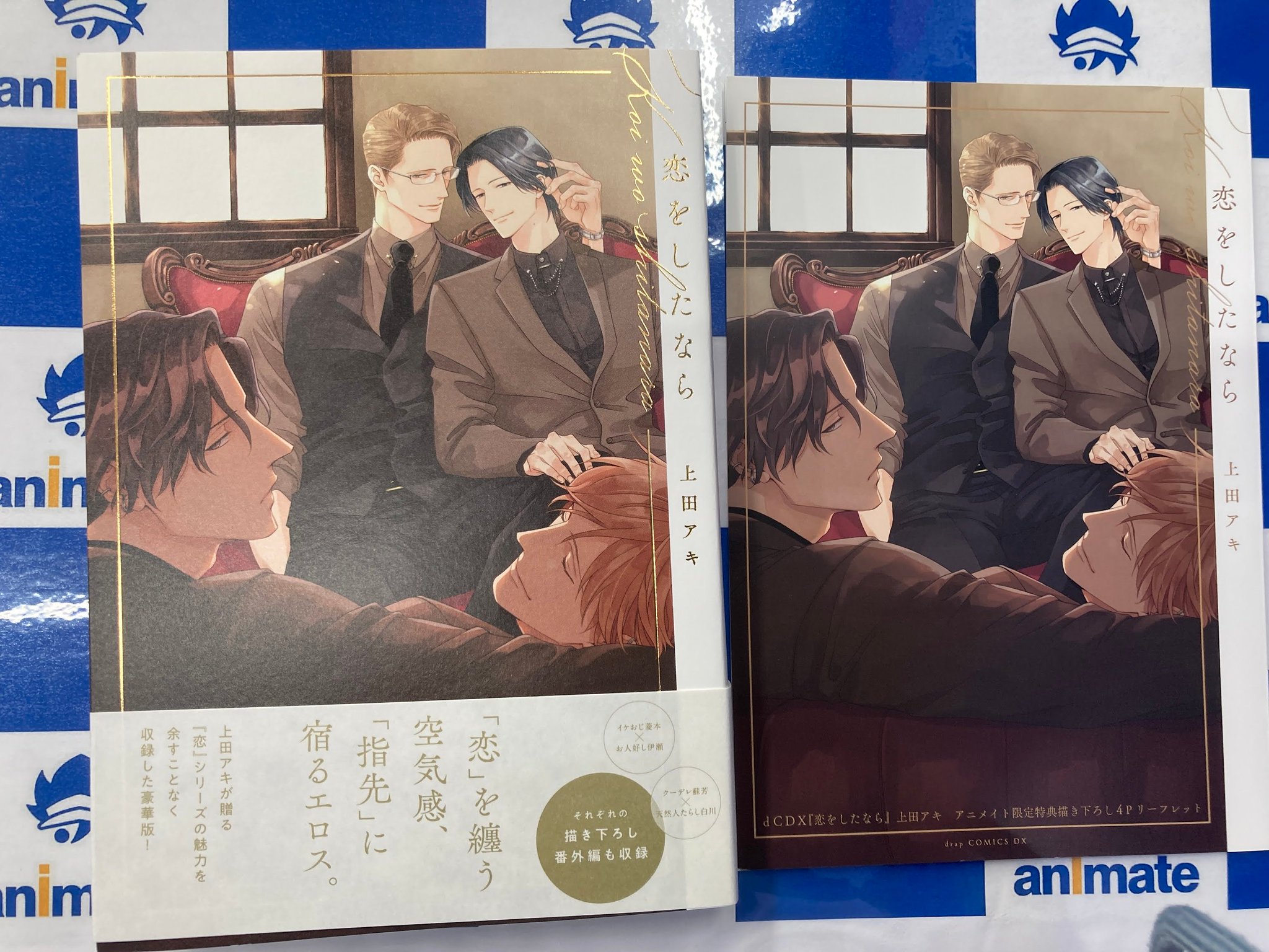 BL アニメイト特典小冊子 リーフレットまとめ売りセット 未読◇ピットスポルム 五葉◇三上志乃◇アニメイト特典8P小冊子