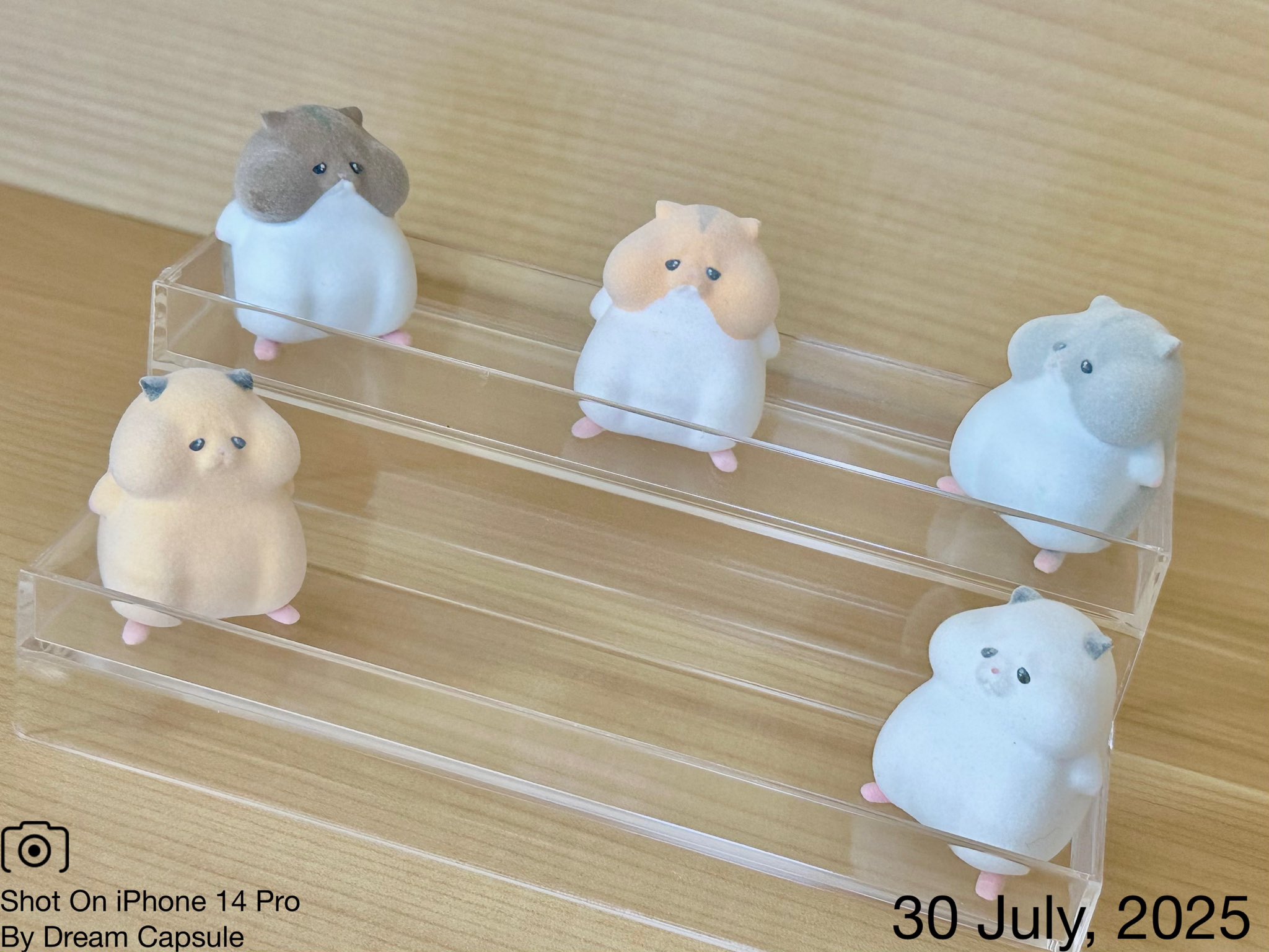 DREAM PETカバとサイのセット K&H Mod Dream Pod Pet Bed, Gray | Costco