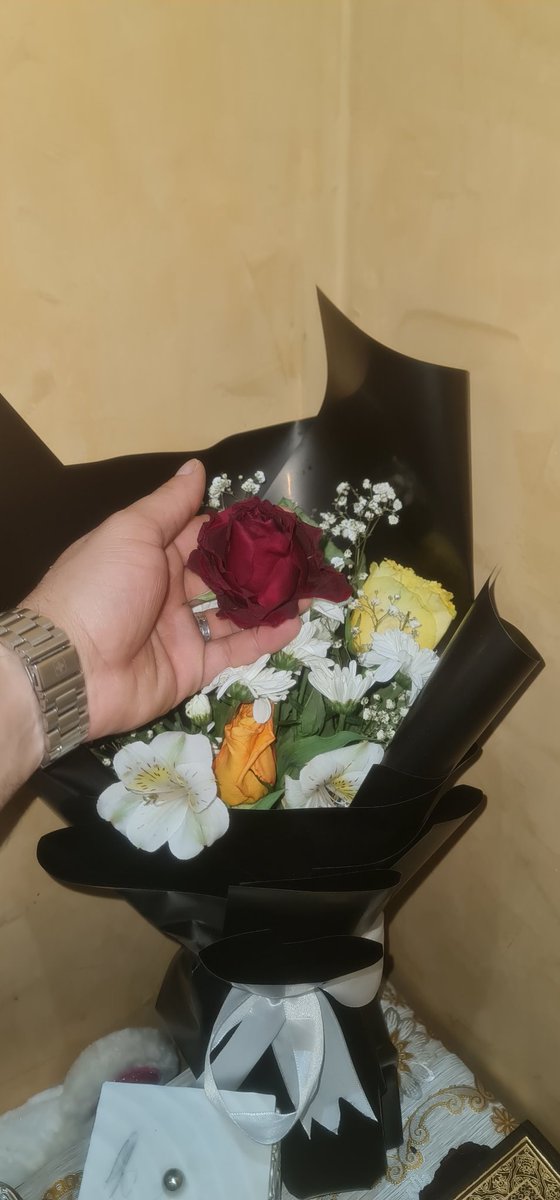 تذبل الوردة سريعًا ، كما تذبل المشاعر حين لا تجد من يرعاها ، لذلك كتبت فيها ....

أهديت وردا قد قطفته عاشقا
من قلب بستان على الأشواق بانِ

كنت ارتجي أن يسكن الفرح الذي
خبأته في القلب منذ زمانِ

أهديتها وردا فذابت فرحتي
مثل احتراق الحرف في النيرانِ

ما إن مضى يوم عليه وبيننا
إلا