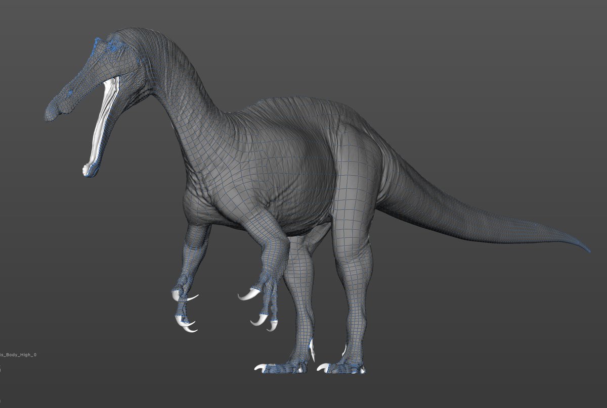 ArtofFabricious's tweet photo. Ah, retopology. How I have missed you (this is both genuine and sarcastic - Schrödinger's retopology). Necessary evil, partially excrutiating and partially cathartic.  Suchomimus tenerensis in progress. I will try to bake textures in Substance Painter this time. Learning curve. https://t.co/slr4asGdhp