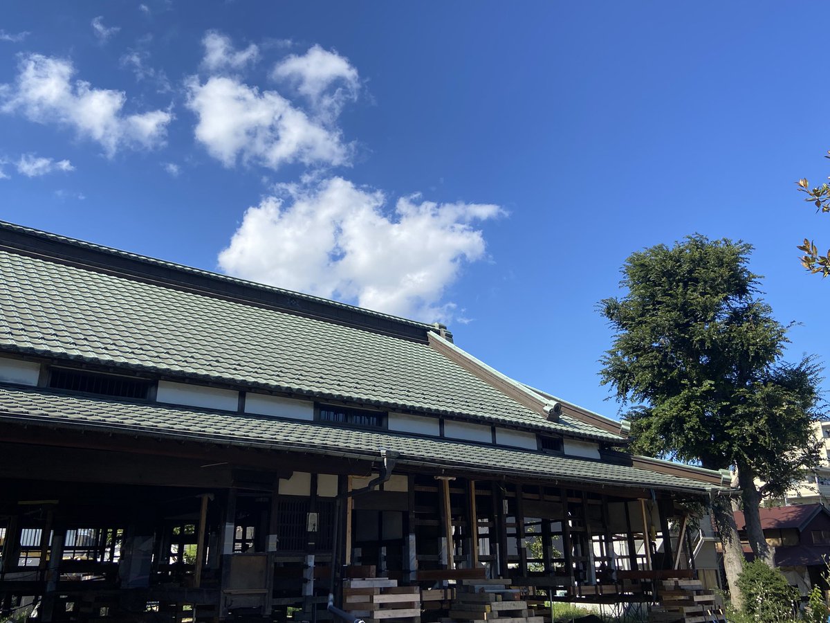 昨日をもちまして今シーズンの桃の収穫・販売は全て終了致しました🙇‍♂️🍑

今年は空梅雨の影響か、収穫量がまとまらず告知しての販売日数が少なくなってしまいましたが、大変暑い中を連日多数のご来店をいただきまして誠にありがとうございました。

また来年の販売にご期待ください。